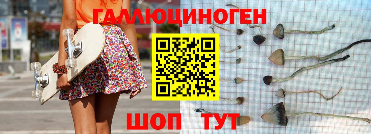 Галлюциногенные грибы MAGIC MUSHROOMS  Вход с VPN  Соликамск 